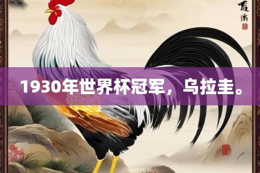 1930年世界杯冠军，乌拉圭。