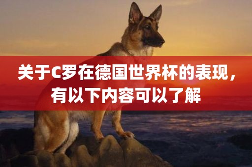 关于C罗在德国世界杯的表现，有以下内容可以了解