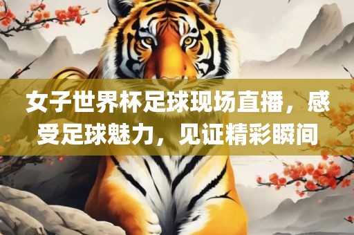 女子世界杯足球现场直播，感受足球魅力，见证精彩瞬间