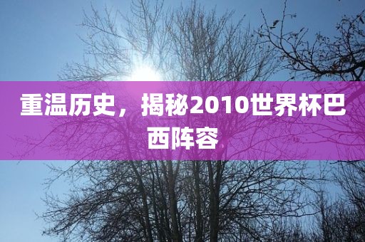 重温历史，揭秘2010世界杯巴西阵容