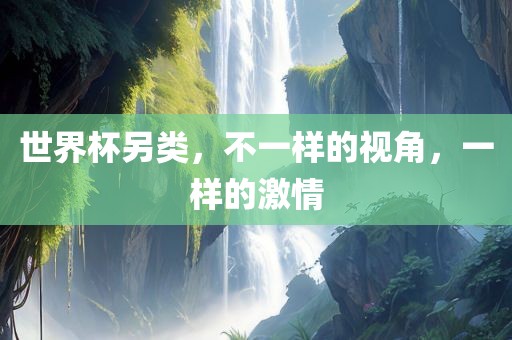 世界杯另类，不一样的视角，一样的激情眉山市正发家政服务有限公司