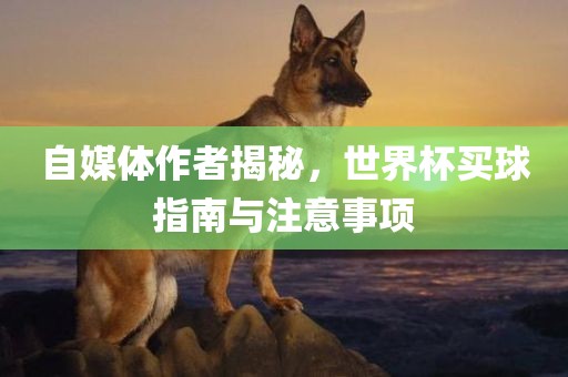 自媒体作者揭秘，世界杯买球指南与注意事项