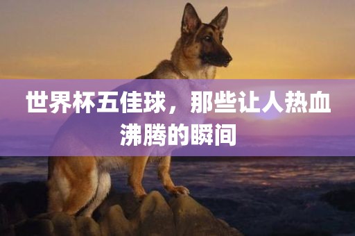 世界杯五佳球，那些让人热血沸腾的瞬间