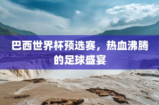 巴西世界杯预选赛，热血沸腾的足球盛宴眉山市正发家政服务有限公司