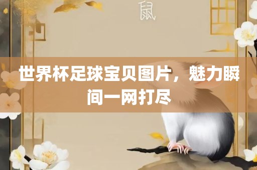 世界杯足球宝贝图片，魅力瞬间一网打尽