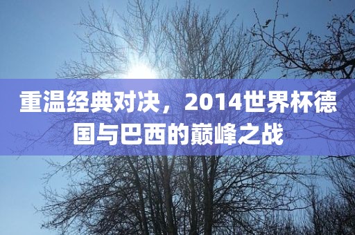 重眉山市正发家政服务有限公司温经典对决，2014世界杯德国与巴西的巅峰之战