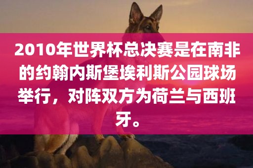 2010年世界杯总决赛是在南非的约翰内斯堡埃利斯公园球场举行，对阵双方为荷兰与西班牙。