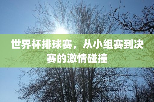 世界杯排球赛，从小组赛到决赛的激情碰撞