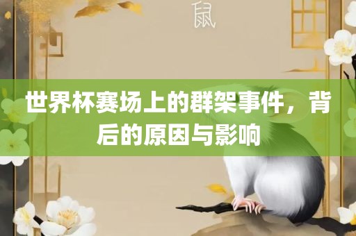 世界杯赛场上的群架事件，背后的原因与影响