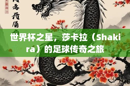 世界杯之星，莎卡拉（Shakira）的足球传奇之旅