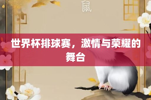 世界杯排球赛，激情与荣耀的舞台