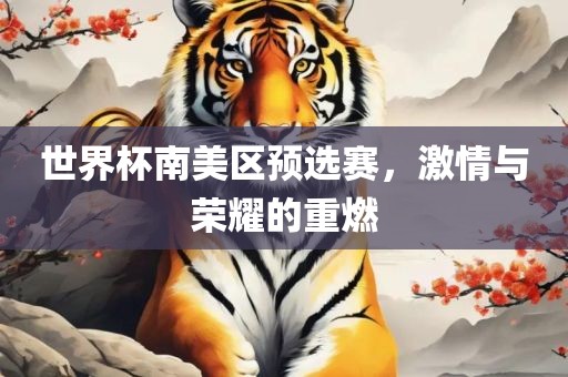 世界杯南美区预选赛，激情与荣耀的重燃