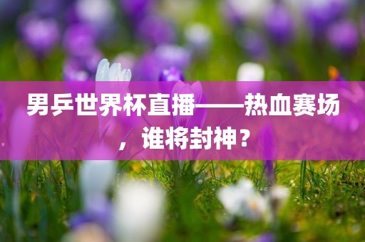 男乒世界杯直播——热血赛场，谁将封神？