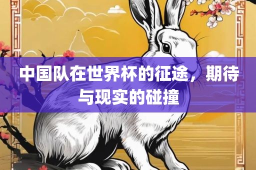 中国队在世界杯的征途，期待与现实的碰撞