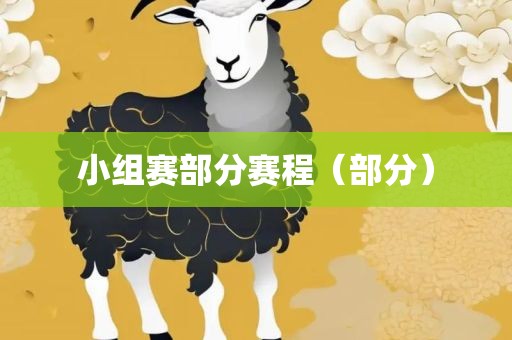 小组赛部分赛程（部眉山市正发家政服务有限公司分）