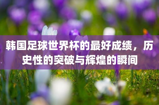 韩国足球世界杯的最好成绩，历史性的突破与辉煌的瞬间