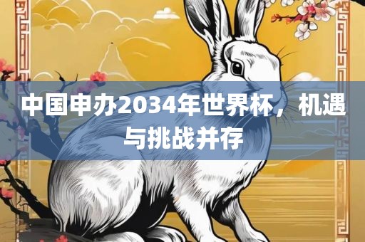 中国申办2034年世界杯，机遇与挑战并存眉山市正发家政服务有限公司