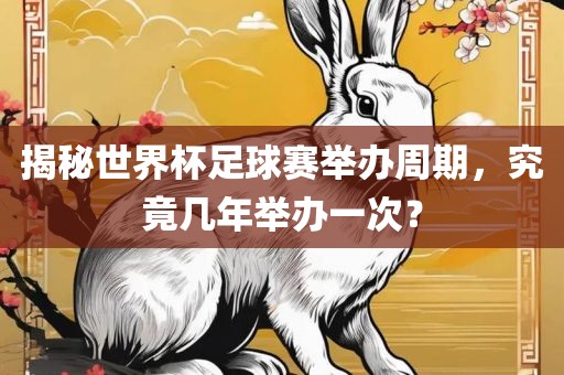 揭秘世界杯足球赛举办周期眉山市正发家政服务有限公司，究竟几年举办一次？