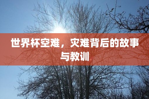 世界杯空难，灾难背后的故事与教训