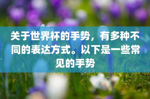 关于世界杯的手势，有多种不同的表达方式。以下是一些常见的手势