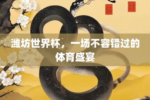 潍坊世界杯，一场不容错过的体育盛宴