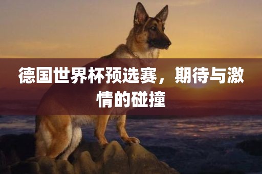 德国世界杯预选赛，期待与激情的碰撞
