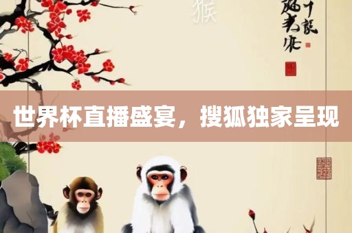 世界杯直播盛宴，搜狐独家呈现
