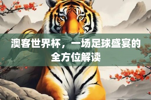 澳客世界杯，一场足球盛宴的全方位解读