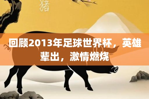 回顾2013年足球世界杯，英雄辈出，激情燃烧眉山市正发家政服务有限公司