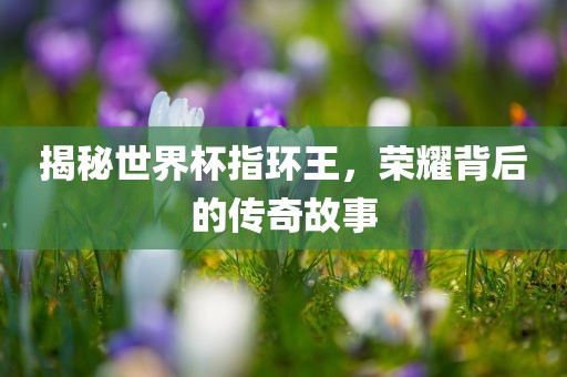 揭秘世界杯指环王，荣耀背后的传奇故事