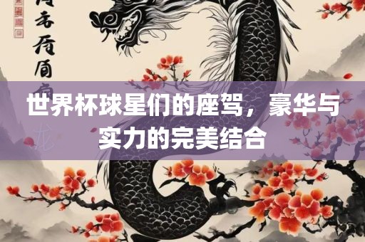 世界杯球星们的座驾，豪华与实力的完美结合