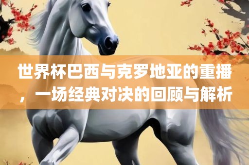 世界杯巴西与克罗地亚的重播，一场经典对决的回顾与解析