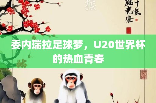 委内瑞拉足球梦，U20世界杯的热血青春