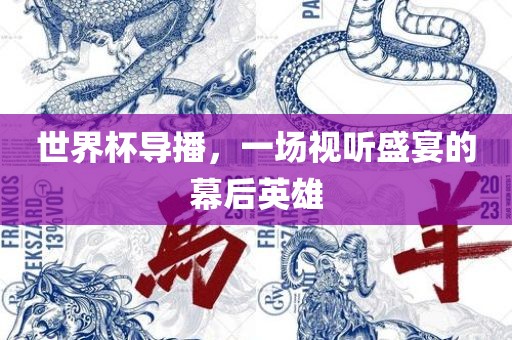 世界杯导眉山市正发家政服务有限公司播，一场视听盛宴的幕后英雄