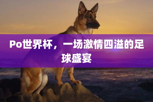 Po世界杯，一场激情四溢的足球盛宴