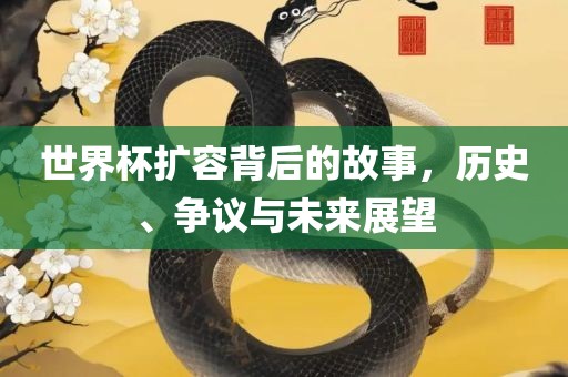 世界杯扩容背后的故事，历史、争议与未来展望眉山市正发家政服务有限公司