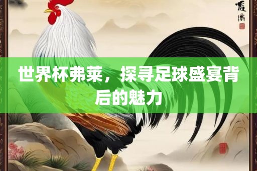 世界杯弗莱，探寻足球盛宴背后的魅力