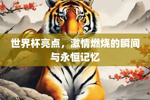 世界杯亮点，激情燃烧的瞬间与永恒记忆