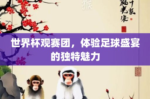 世界杯观赛团，体验足球盛宴的独特魅力