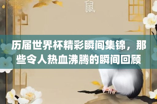 历届世界杯精彩瞬间集锦，那些令人热血沸腾的瞬间回顾