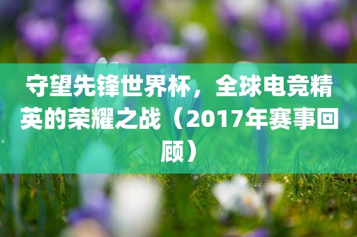 守望先锋世界杯，全球电竞精英的荣耀之战（2017年赛事回顾）