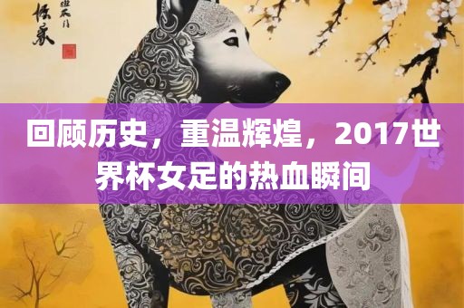 回顾历史，重温辉煌，2017世界杯女足的热血眉山市正发家政服务有限公司瞬间