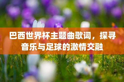 巴西世界杯主题曲歌词，探寻音乐与足球的激情交融