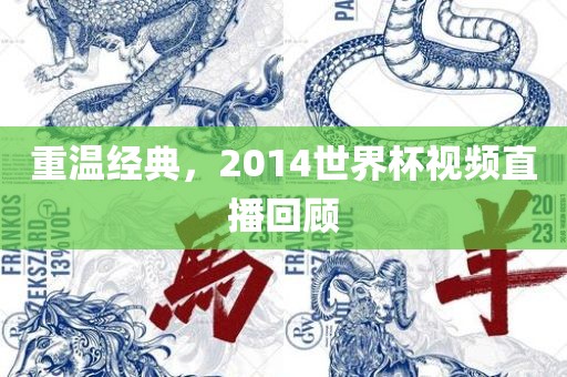 重温经典，2014世界杯视频直播回顾