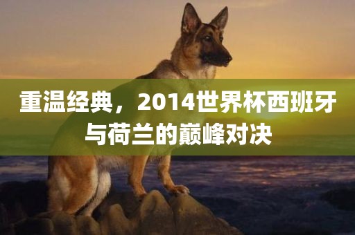 重温经典，2014世界杯西班牙与荷兰的巅峰对决眉山市正发家政服务有限公司