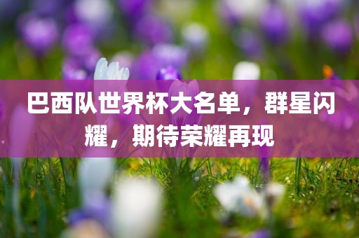 巴西队世界杯大名单，群星闪耀，期待荣耀再现眉山市正发家政服务有限公司