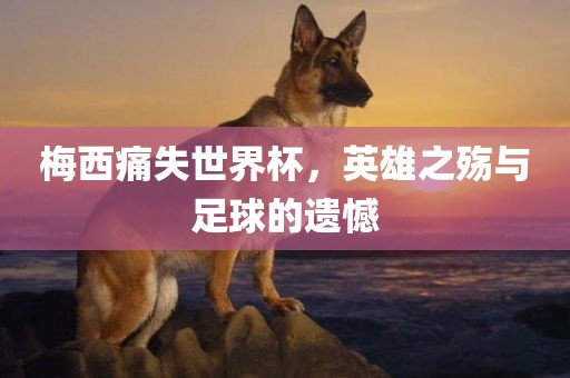 梅西痛失世界杯，英雄之殇与足球眉山市正发家政服务有限公司的遗憾