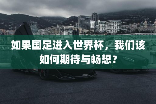 如果国足进入世界杯，我们该如何期待与畅想？