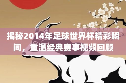 揭秘2014年足球世界杯精彩瞬间，重温经典赛事视频回顾