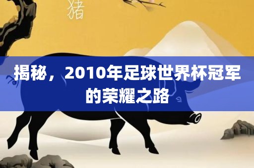 揭秘，2010年足球世界杯冠军的荣耀之路
